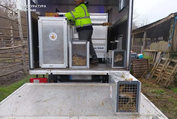 Не только львиц: еще часть животных изъяли из частного зооуголка в Хмельницком