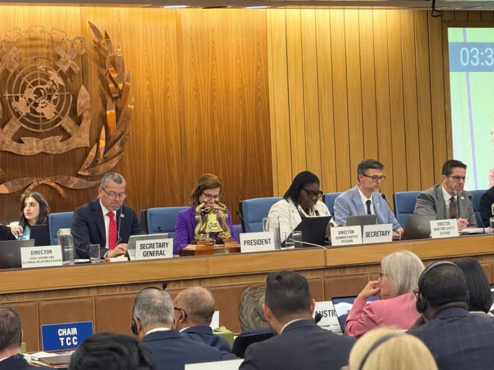 Страна, которая бьет по портам и убивает моряков: Украина призвала не допустить россию в Совет Международной морской организации