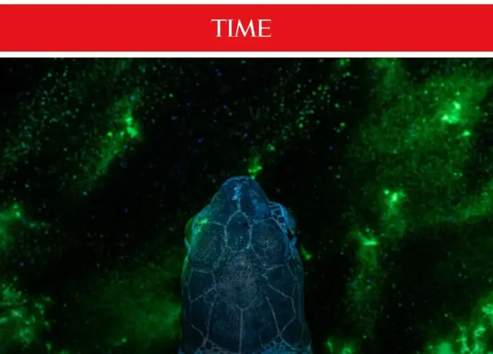 Time выбрал пять украинских фото в топ-100 самых значимых снимков 2025 года