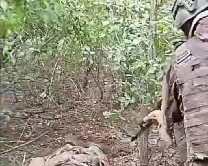 Оккупанты расстреляли военнопленного на Покровском направлении - прокуратура