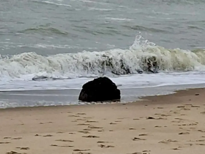 Шторм виніс морську міну на узбережжя Одещини