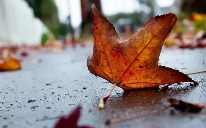 Хмарно з проясненнями та помірний вітер: синоптики дали прогноз на 7 грудня