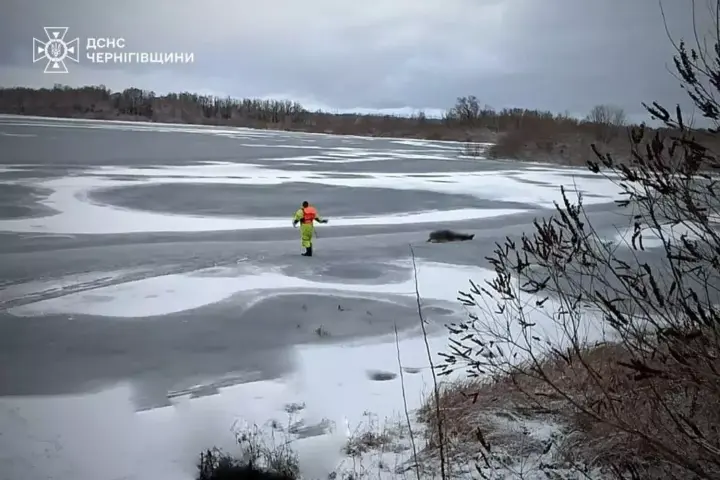 Мужчина погиб, провалившись под лед в Черниговской области