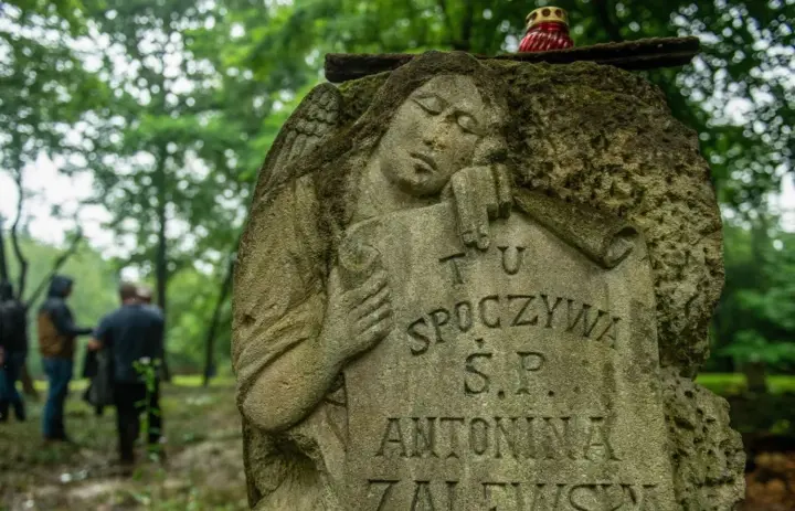 Мінкульт надав дозволи на пошукові роботи на Тернопільщині та Волині в межах домовленостей з Польщею 