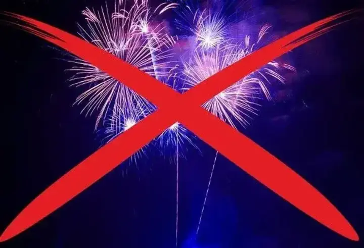 Комендантский час с усилением патрулей и запрет фейерверков: украинцам напомнили правила в новогоднюю ночь