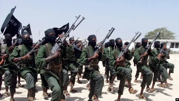 Somali armed forces, supported by international allies, eliminated 29 militants of the "Al-Shabaab" group