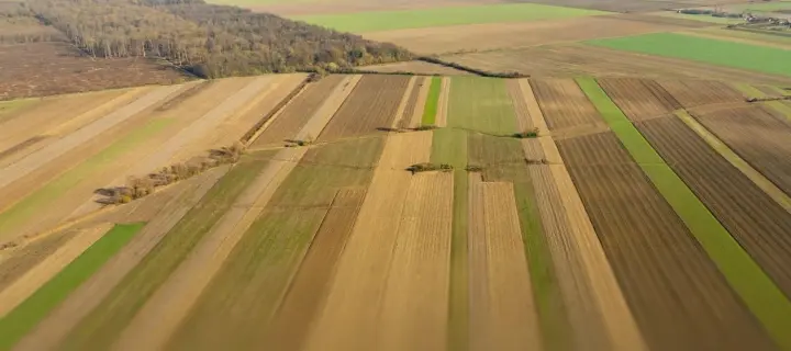 Ukraine's land market transitioned to a stable development model in 2025 - Ministry of Economy