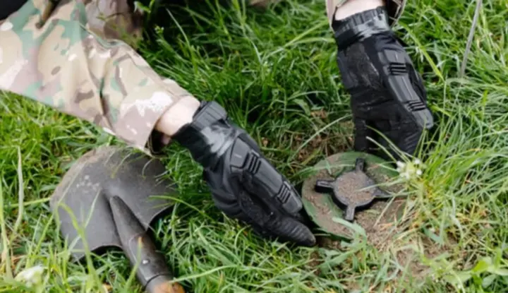 Фінляндія офіційно вийшла з Оттавської конвенції про заборону протипіхотних мін