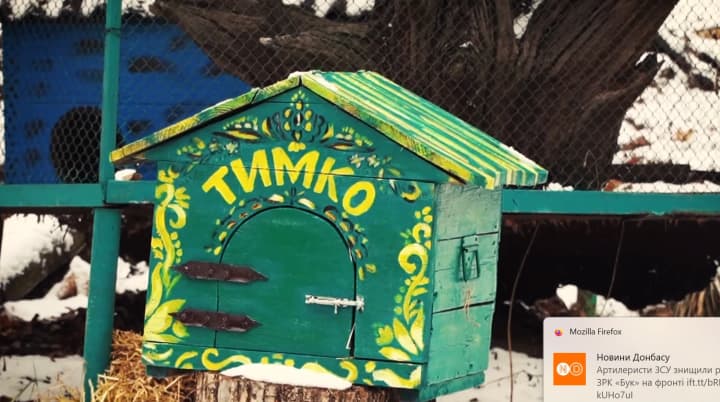 Groundhog Tymko predicted the arrival of spring: what he determined