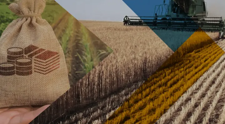 рф готує масову конфіскацію земельних паїв на окупованій Луганщині - ЦНС