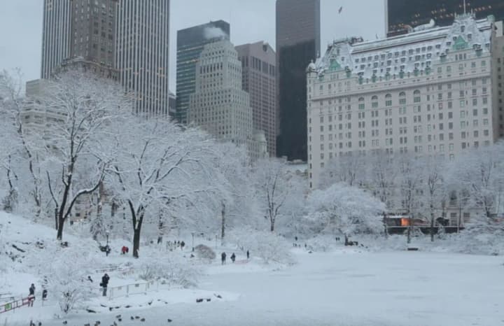Anomalous frosts in New York: the number of homeless victims has risen to 17