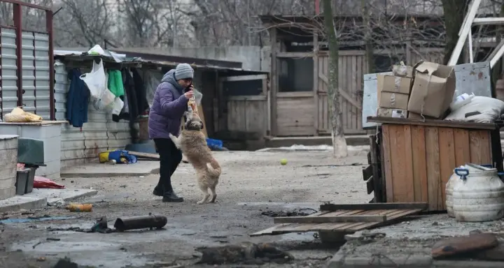 Атака рф на Запорожье: повреждение получил собачий приют
