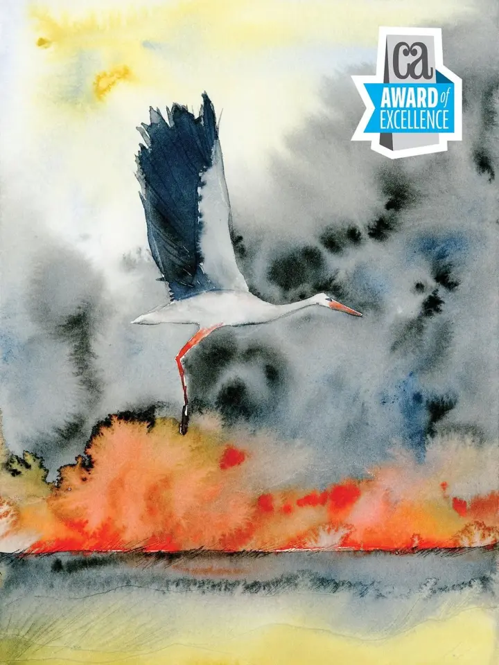 Украинская иллюстрация среди лучших в мире: Маргарита Винклер получила международную награду