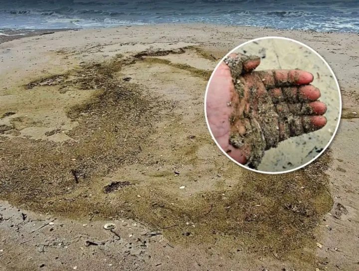 В Чорному морі зафіксували маслянисту плівку після російської атаки на цистерни з олією - ЦПД