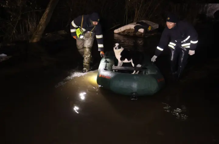 У Кропивницькому через розлив річки затопило притулок для тварин