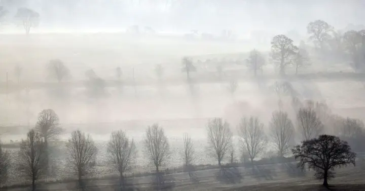 Опади та тумани: синоптики дали прогноз погоди на 24 лютого