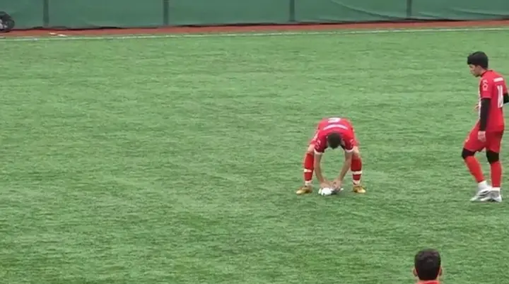 Футболист реанимировал чайку во время матча в Стамбуле