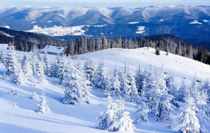 Since the beginning of the year, 89 tourists, including 10 children, have been rescued in the Carpathians