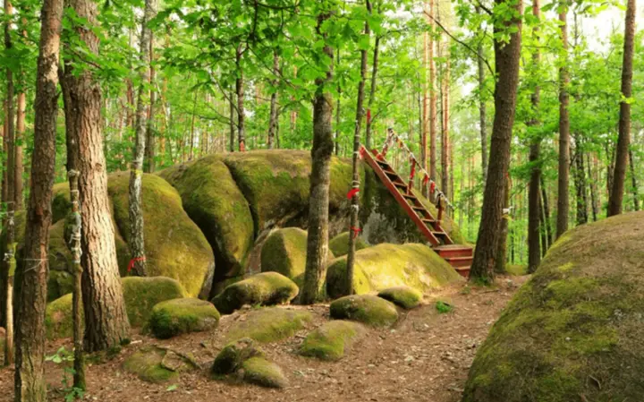 Куда поехать на выходные: топ-10 интересных локаций Житомирщины для короткого путешествия