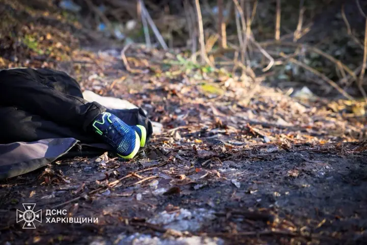 Six children fell through the ice in Kharkiv, two died