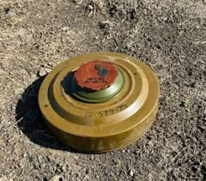 In February, almost 700 occupiers were eliminated on minefields - General Staff