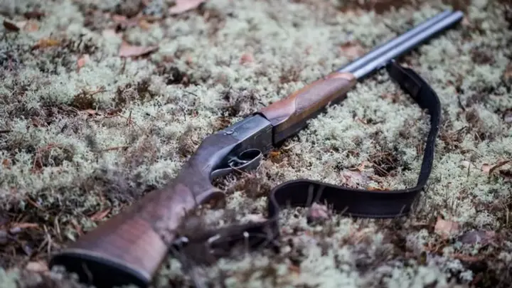 Village head in Mykolaiv region detained for shooting assistant, woman died - police