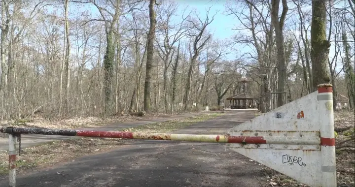 У лісі в Німеччині знайшли тіло 19-річної українки - ЗМІ