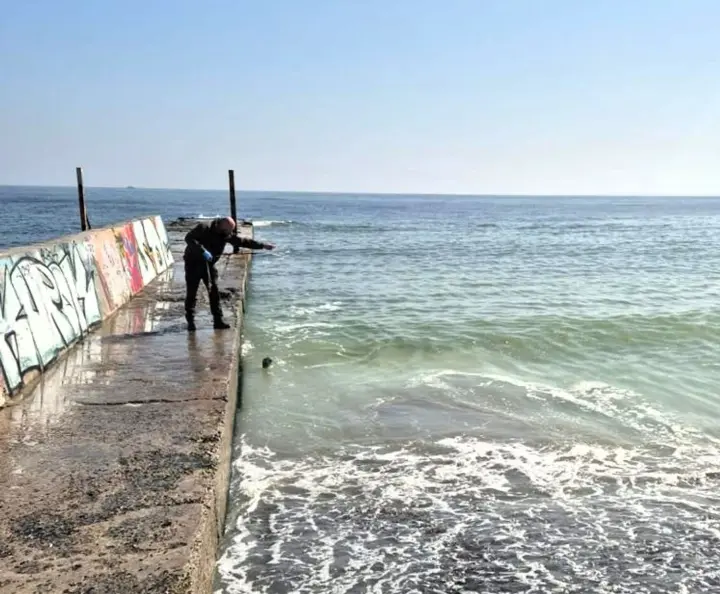 Біля двох пляжів в Одесі виявили забруднення моря. Екологи зафіксували перевищення вмісту жирів