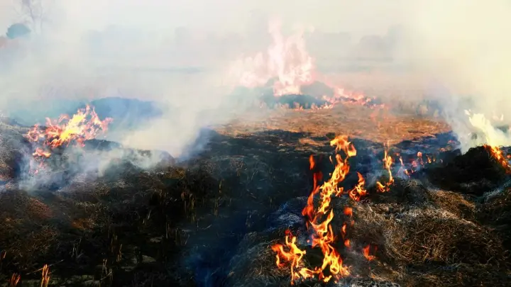 Кількість пожеж в екосистемах в Україні зменшилась на 38% - ДСНС