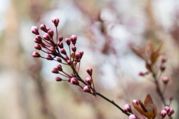 Переважно сухо і до 19° тепла - прогноз погоди на сьогодні