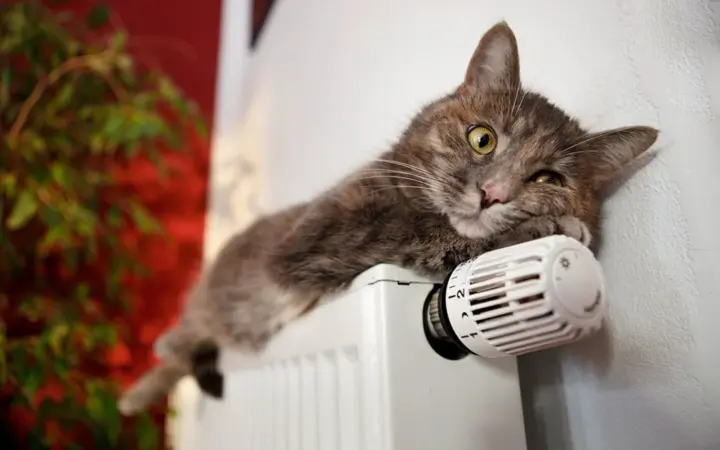 The heating season in Zaporizhzhia will end on March 29