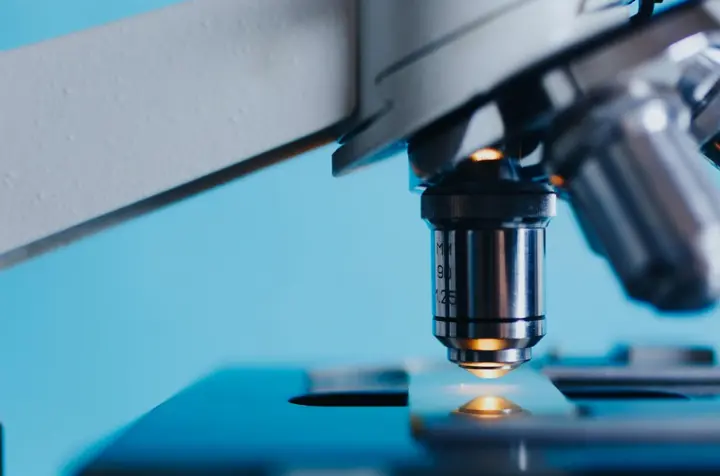 Парвовірус: що це за інфекція, як передається та коли потрібно здавати аналіз