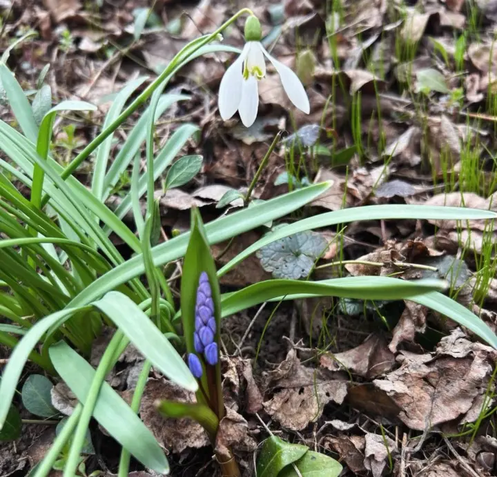 Украинцев ожидает потепление и периодические дожди в начале апреля - синоптик