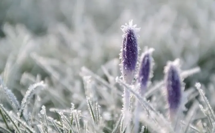 Дощі з мокрим снігом та нічні заморозки на ґрунті - в Україну йде похолодання