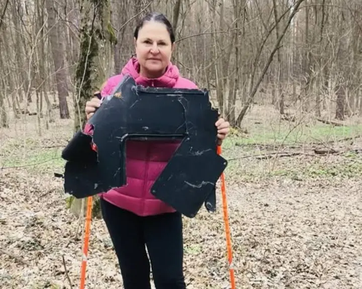 EU Ambassador found a fragment of a Russian "Shahed" during a walk in a Kyiv forest