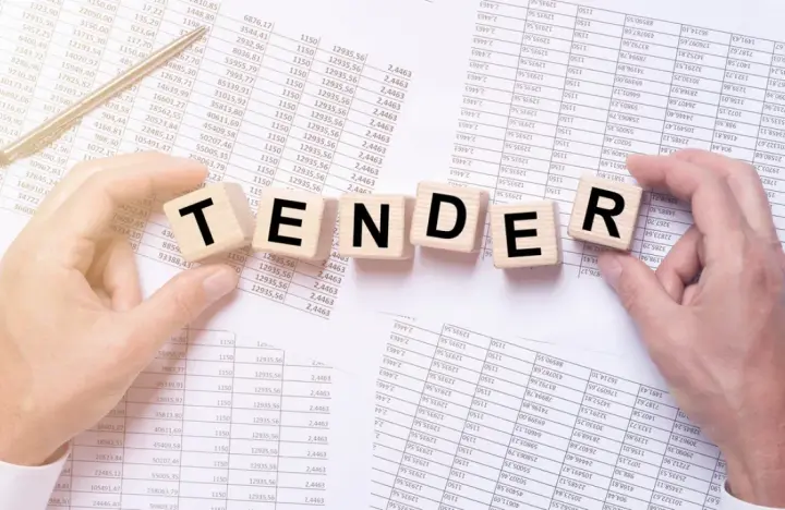 Twin procedures and supplementary agreements: seven ways to steal through tenders and how to detect them