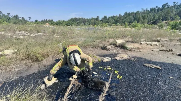 Рятувальники на Рівненщині витягли собаку з глибокої ями зі смолою