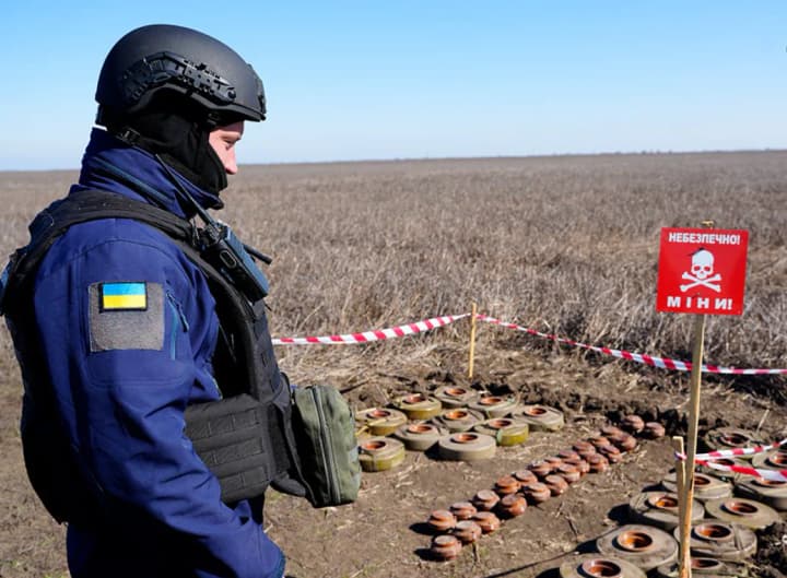 После гибели двух сотрудников в Херсонской области NPA приостановила разминирование в Украине