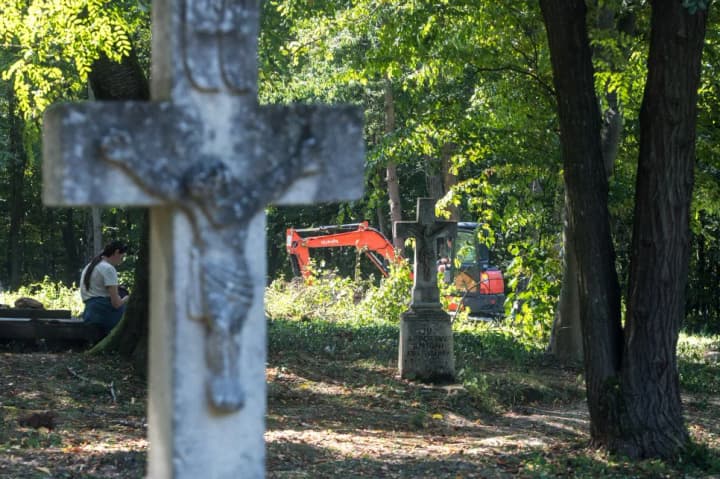 У Польщі заявили, що під час нового етапу пошуків у Пужниках не знайшли другої братської могили жертв УПА