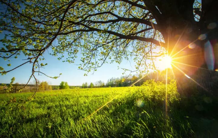 In Ukraine on Sunday, temperatures up to +38°C are expected, with rain forecast only in some regions