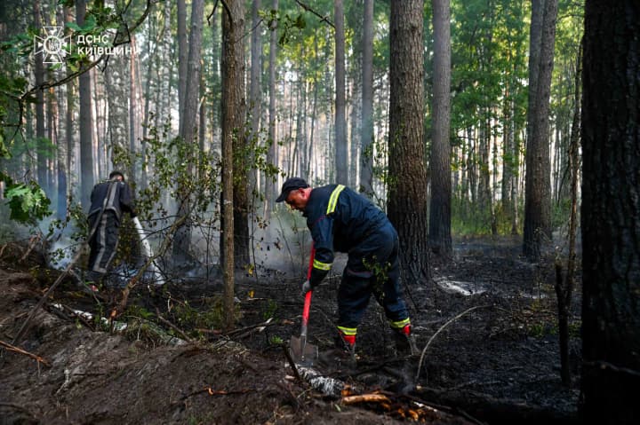 У Чорнобильській зоні локалізували всі осередки лісової пожежі