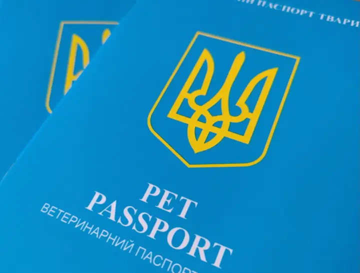 В Україні видають нові ветеринарні паспорти для тварин - що зміниться для їх власників