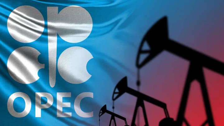 OPEC oil production rose in July thanks to Gulf countries – Bloomberg