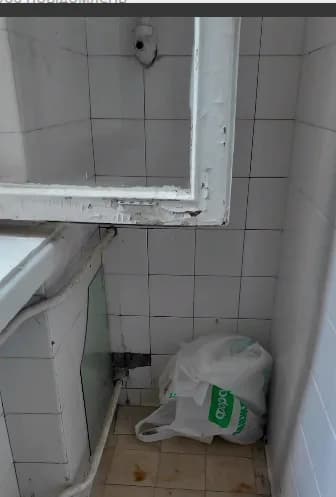 У дитячому таборі в київській Пущі-Водиці виявили бруд, плісняву та численні порушення