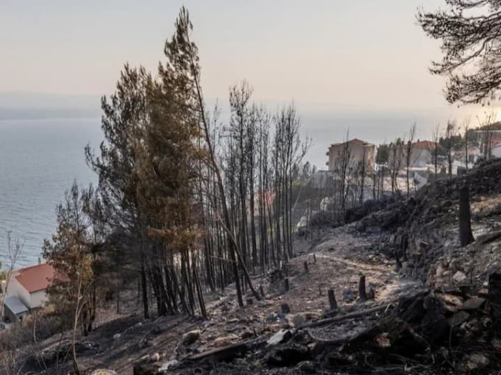 Лісова пожежа в Хорватії забрала життя людини, близько 40 поранено