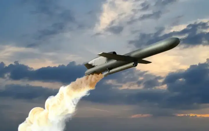Germany plans to spend €12 billion on missile purchases; the possible purchase of Flamingo is being considered - media