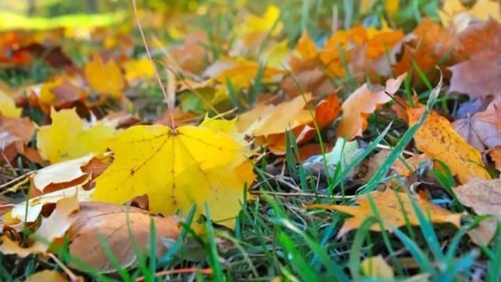 No precipitation and up to +23° — what the weather will be like in Ukraine on September 29
