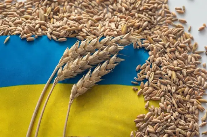 Poland and Romania refused to increase the transit of grain from Ukraine — media