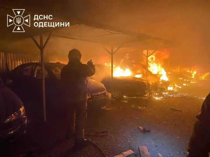 На Одещині через атаку рф пошкодило притулок для тварин, загинула собака