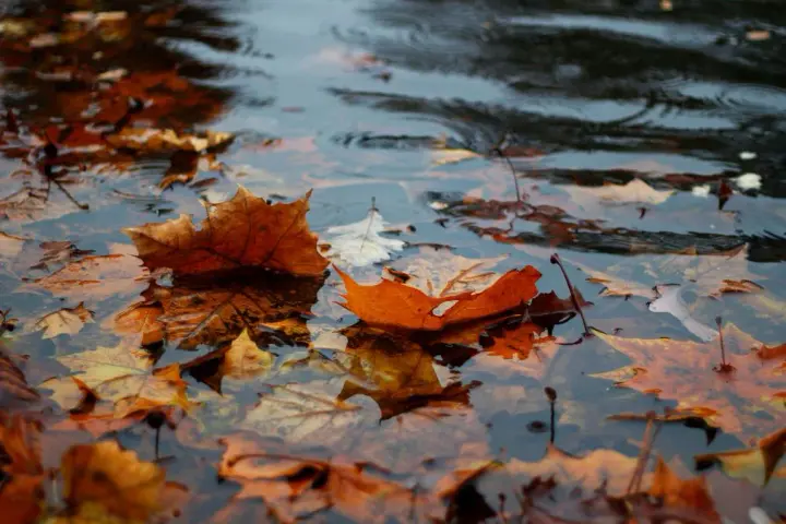 Three days of unsettled weather — rain, colder temperatures and frost are returning to Ukraine